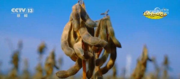 客新策略 希望的田野满满“科技范”&#32;智慧农业绘就千里沃野好“丰”景