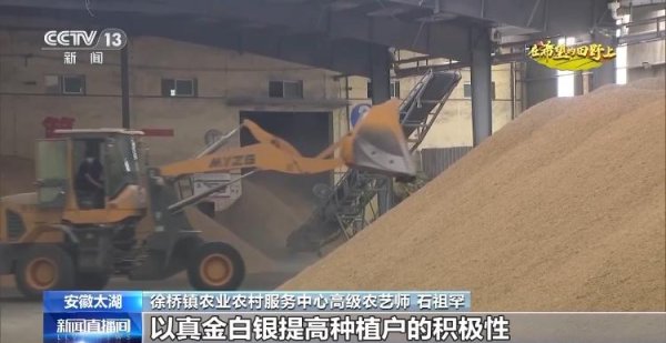 中银两融 秋收时节秋雨绵绵 各地抢收抢烘确保秋粮颗粒归仓